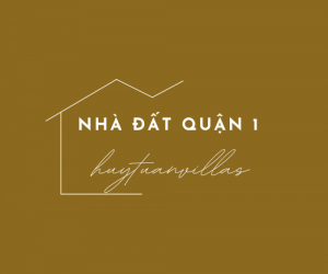 Nhà đất Quận 1 ngày 09/11/2021