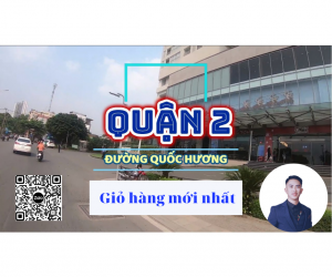 Nhà bán đường Quốc Hương