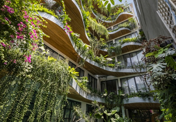Tòa CityOasis - Hồ Hảo Hớn Quận 1